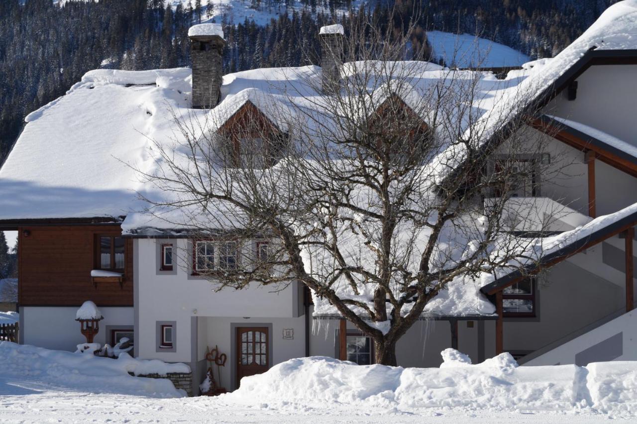 Biobauernhof Spieszschweiger Villa Sankt Nikolai im Sölktal Buitenkant foto