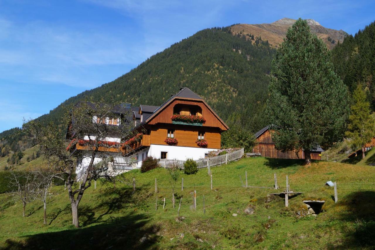 Biobauernhof Spieszschweiger Villa Sankt Nikolai im Sölktal Buitenkant foto