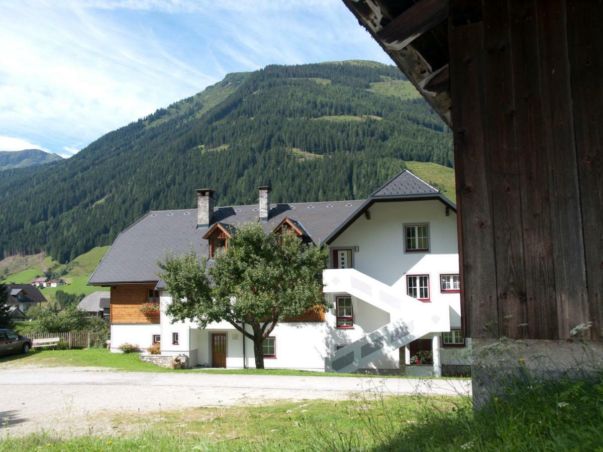 Biobauernhof Spieszschweiger Villa Sankt Nikolai im Sölktal Buitenkant foto