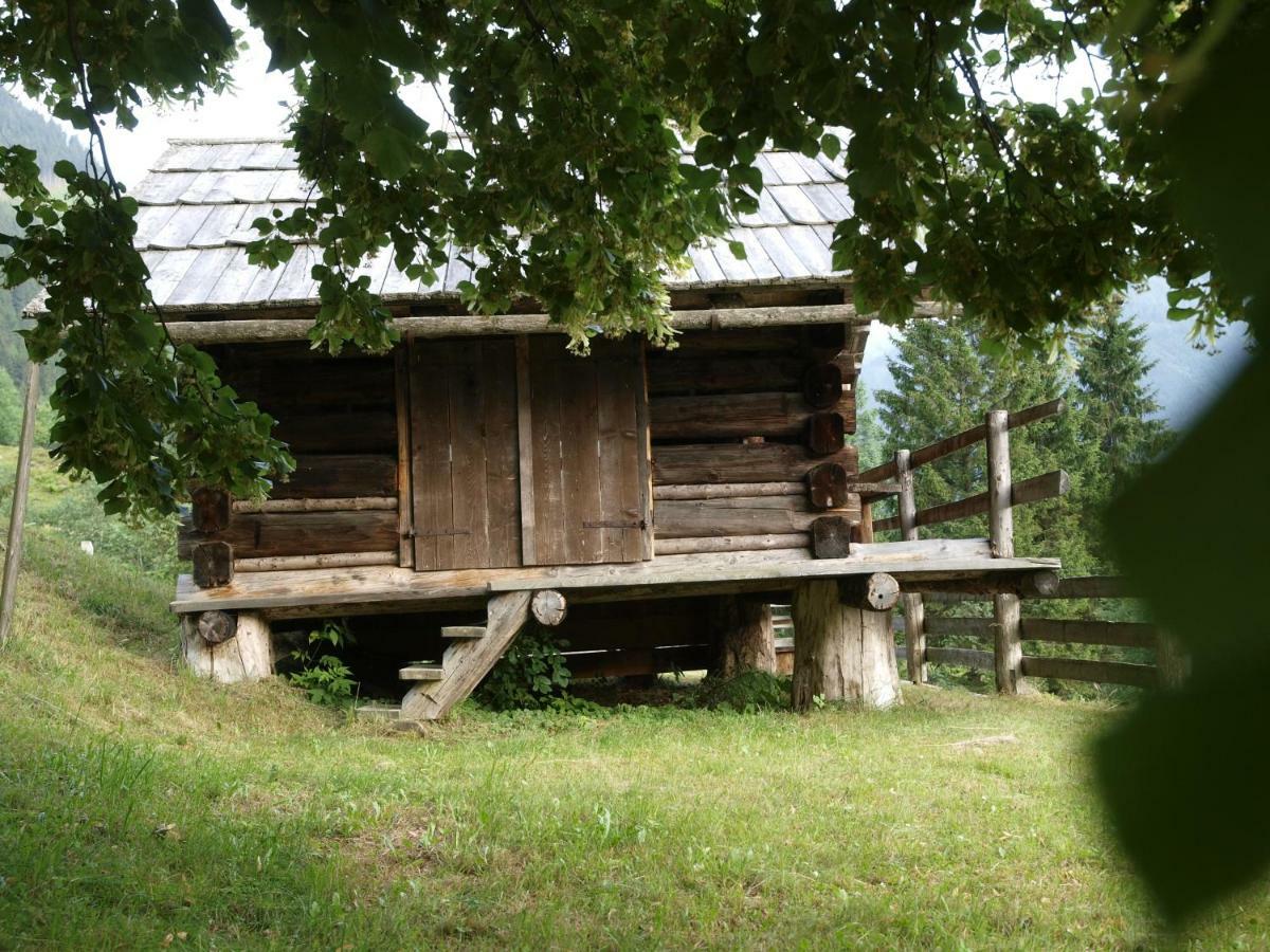 Biobauernhof Spieszschweiger Villa Sankt Nikolai im Sölktal Buitenkant foto
